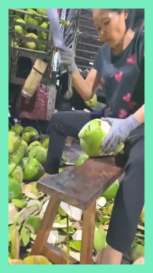 海南食品加工厂,7秒砍一个椰子,不像女人的手速